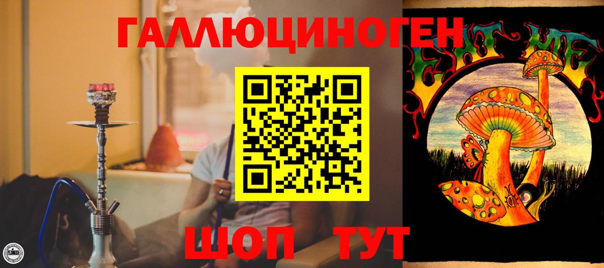 Лысьва  хочу наркоту  Вход с VPN  Псилоцибиновые грибы Psilocybe 