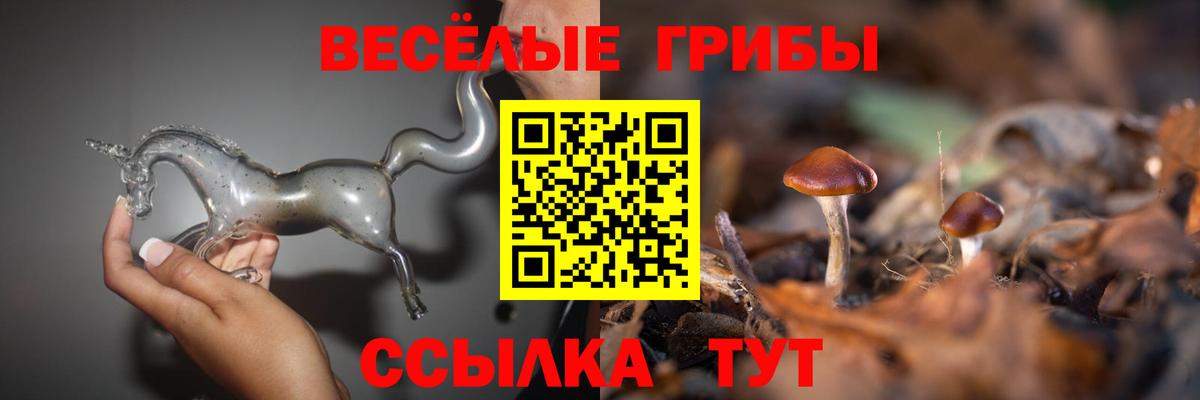 Псилоцибиновые грибы GOLDEN TEACHER Лысьва